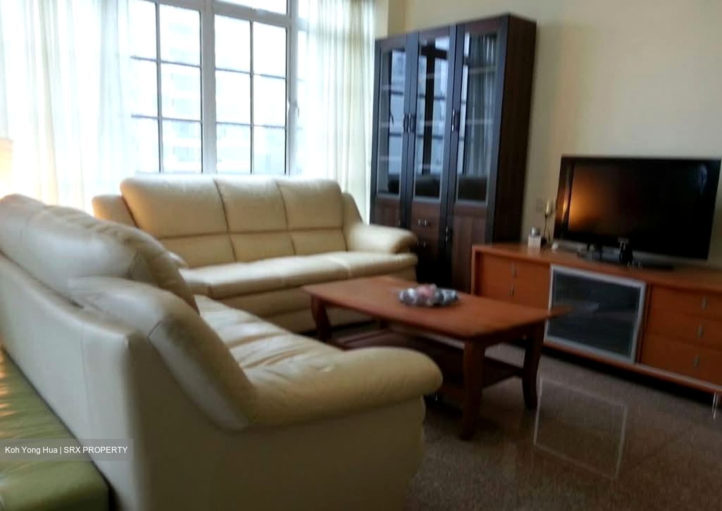 Moulmein Rise (D11), Apartment #586112401